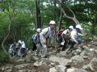 餱ʴĥ졪